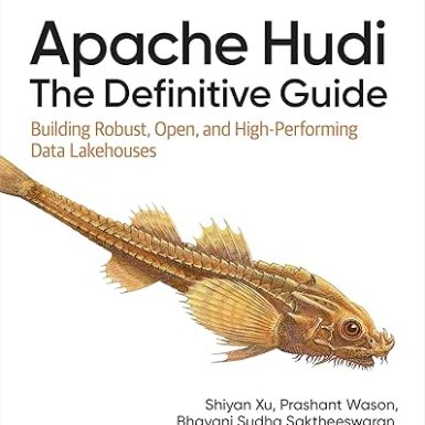 Apache Hudi: The Definitive Guide: Building Robust, Open, and High-Performing Data Lakehouses