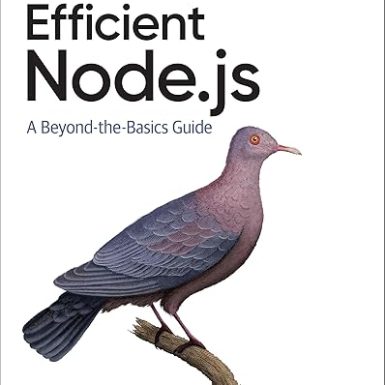 Efficient Node.js: A Beyond-the-Basics Guide