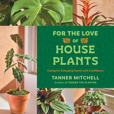 For the Love of Houseplants: Caring for & Keeping Plants with Confidence