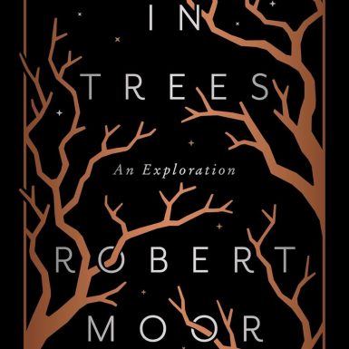 In Trees: An Exploration