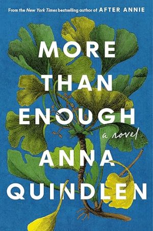 More Than Enough: A Novel