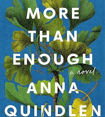 More Than Enough: A Novel