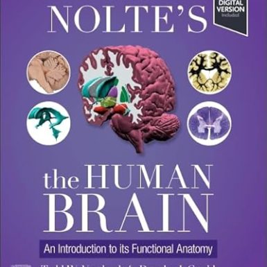 Nolte's The Human Brain: An Introduction to its Functional Anatomy