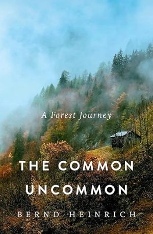 The Common Uncommon: A Forest Journey