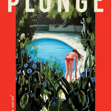 The Plunge: A Novel