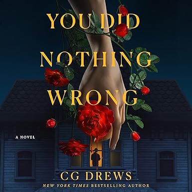 You Did Nothing Wrong: A Novel