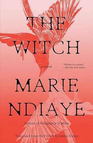 The Witch: A Novel